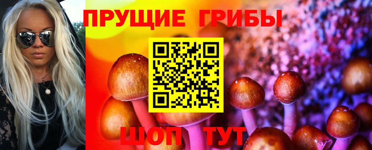 Псилоцибиновые грибы мухоморы  Вход с VPN  Первоуральск  Галлюциногенные грибы MAGIC MUSHROOMS 